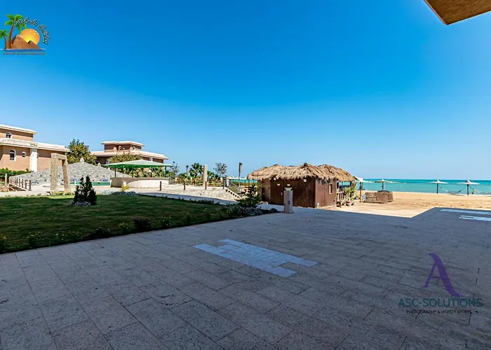 Turtles By Vtgooo * Hurghada